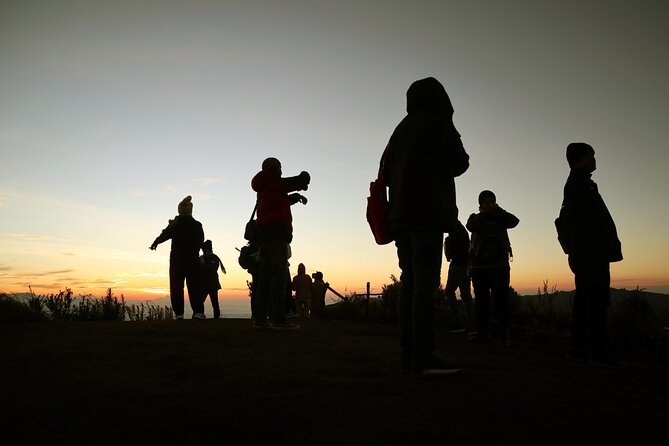 1 Day Amazing Bromo Sunrise tour from Malang Surabaya 7 spots - Dinosaur Valley vibes at Widodaren, then straight into Bromo crater time