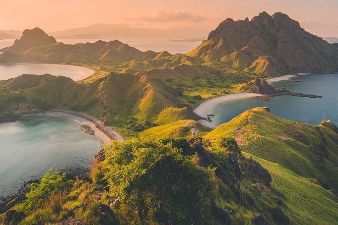 1 Day Komodo Trip By Share Fast Boat - The Big Idea: How a One-Day Komodo Plan Works