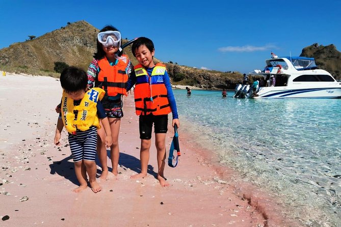 1 Day Komodo Trip By Share Fast Boat - Komodo Island Trek: Seeing Dragons With a Ranger