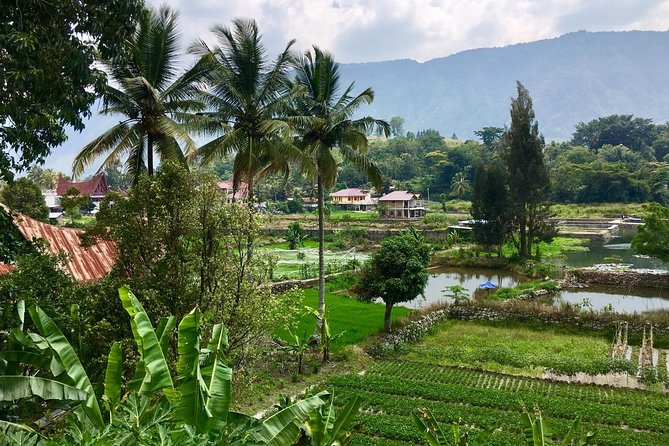 1 week private round trip North Sumatra - Berastagi highlands: market time, cooler air, and setting up for Sibayak