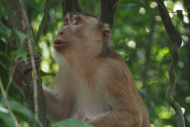 2-Day Jungle Trekking & Rafting in North Sumatra - Price and value: what $157.05 really covers