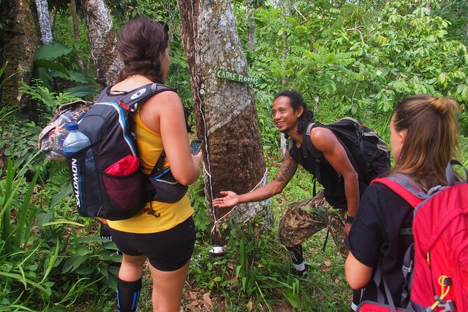 2-Day Jungle Trekking & Rafting in North Sumatra - Day 1: Entering Gunung Leuser, river walking, uphill sections, and first wildlife odds