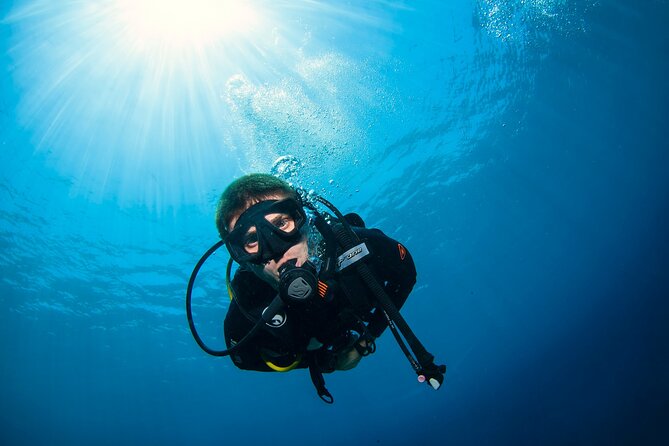 2 Days & 1 Night - 2 Dives in Lembongan/Penida (for certified divers) - Key things that make this trip worth your time