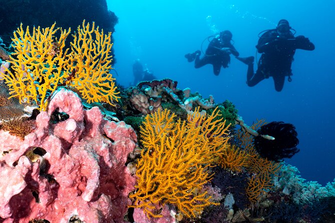 2 Days & 1 Night - 2 Dives in Lembongan/Penida (for certified divers) - Planning for waves, motion sickness, and the certified-diver rule