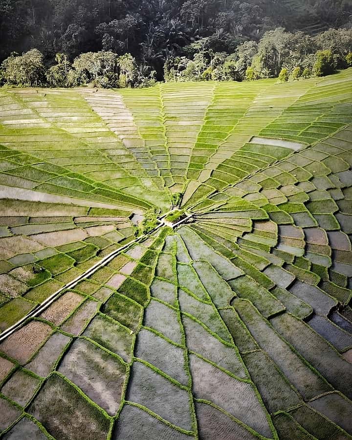 2D1N Exotic Waerebo Village Tour from Labuan Bajo - Why Wae Rebo feels different from a typical Flores stop
