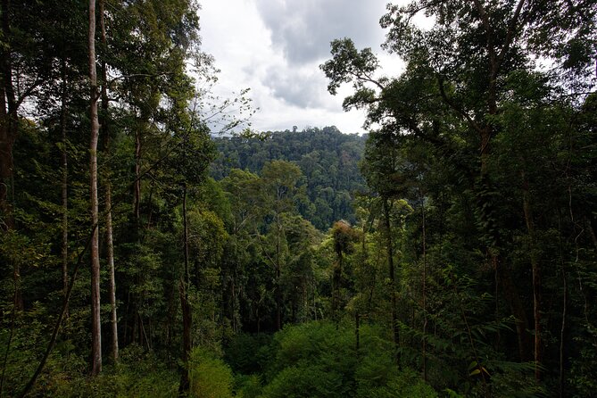 3-Day Bukit Lawang Tour Including 1-Day Ethical Jungle Trekking - Two nights in a deluxe bungalow, with breakfast handled