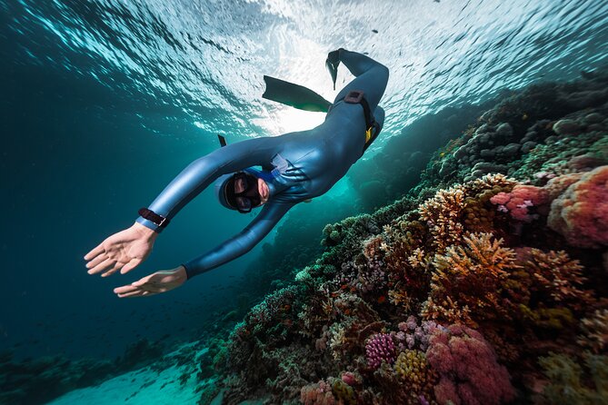 3-Day Freediving Level 1 Course - Key Points I’d Use to Decide