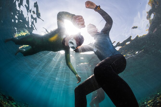 3-Day Freediving Level 1 Course - Meeting Point and Timing: The Simple Logistics You Should Plan For