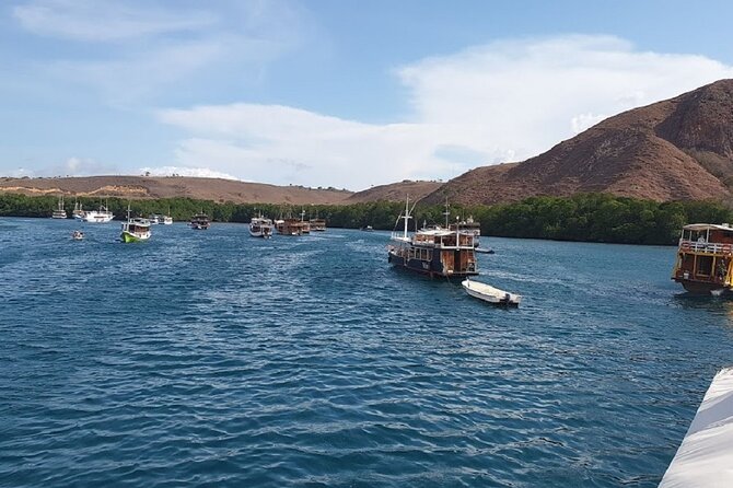 3-Day Komodo island Tour with or without Roundtrip Flight From Bali - Snorkeling reality check, currents, and what to pack