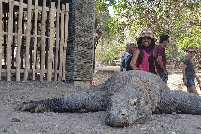 3-Day Komodo island Tour with or without Roundtrip Flight From Bali - What your $343.59 covers, and the fees you pay at the park
