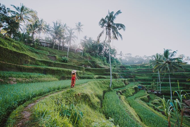 3 Days for the best of Ubud Private Tour - Why this 3-day Ubud private plan fits so well