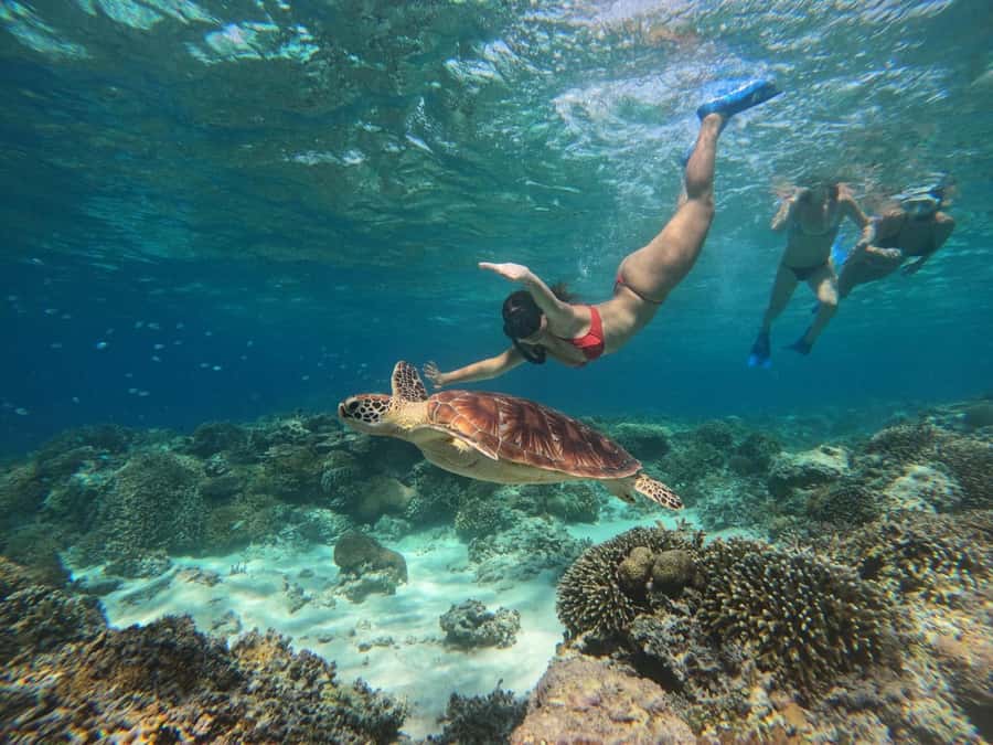 3 Islands Snorkeling with Glass Bottom Boat & GOPRO SHOOT - Where Gili Trawangan makes snorkeling feel simple