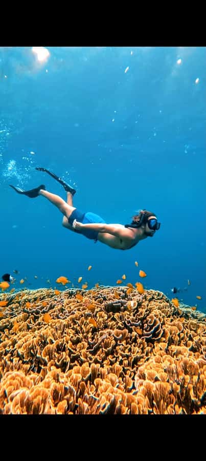 3 Islands Snorkeling with Glass Bottom Boat & GOPRO SHOOT - Crowds, short swims, and how to get better results