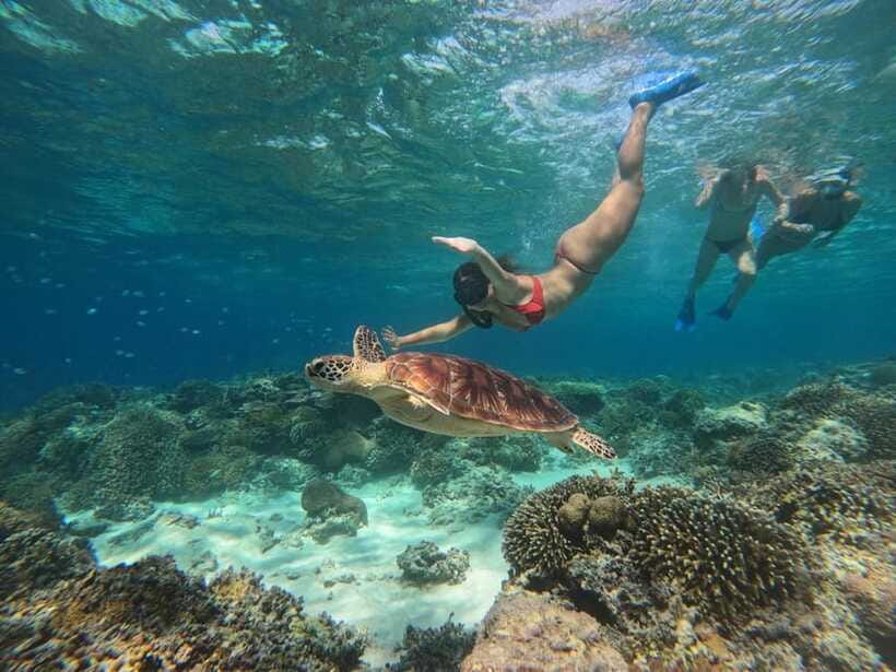 3 Islands Snorkeling with Glass Bottom Boat & GOPRO SHOOT - What to bring, what not to do, and safety basics