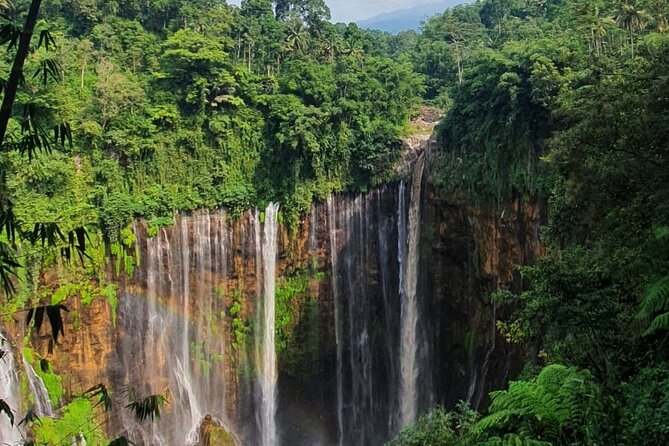 3Days - Tumpaksewu Bromo Ijen Adventure via Malang or Surabaya - Transport and Guides: How the Day Actually Runs