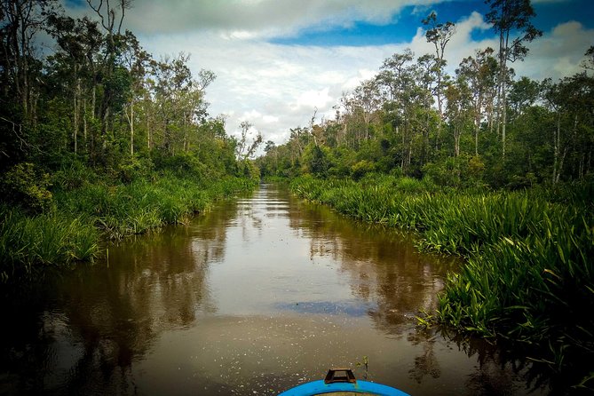 3ns Private Orangutan and Bornean Primates Kelotok Tour - Price and value: what $591 includes (and what it does not)