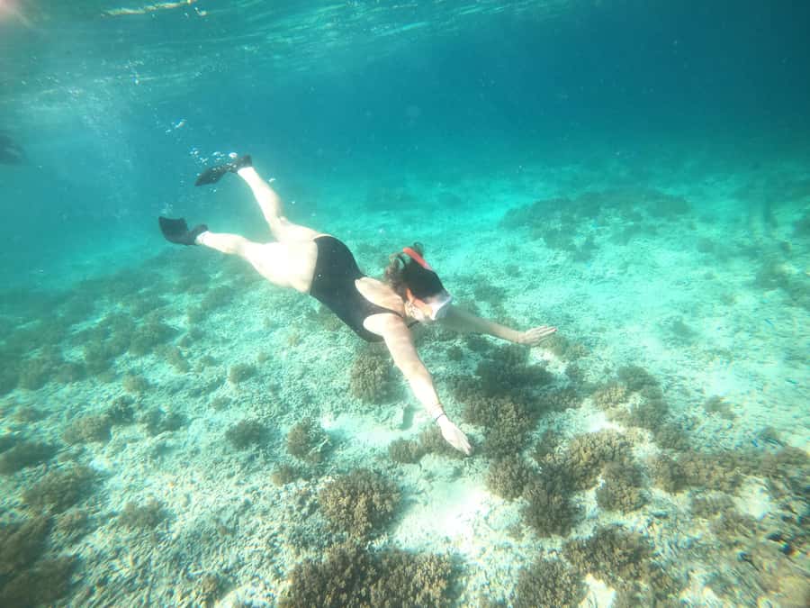 4 Hours Snorkeling 3 Gilis ( Trawangan,Meno, Gili air) - Gili Meno: beach time, lunch options, and a short turtle sanctuary walk