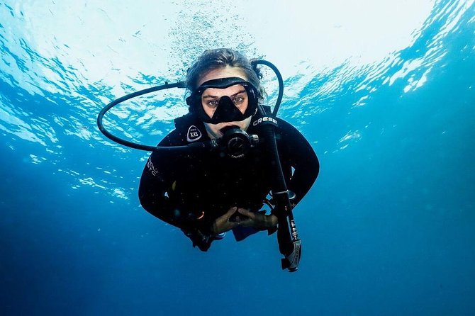5 Fun Dives in Nusa Lembongan (for certified divers) - Swim with a Mola Mola - Mangrove Point on Nusa Lembongan: Slow Down for Different Marine Life