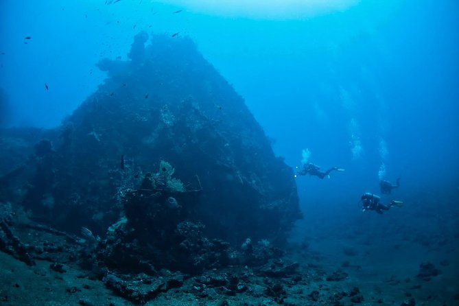 5 Fun Dives in Tulamben (for certified divers) - Discover famous diving sites - Tulamben Beach plus macro time, tiny creatures and patient spotting