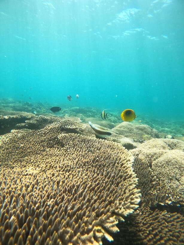 5 Secret Gili Boat Trip & Snorkeling in Southwest Of Lombok - Gili Nanggu: clownfish-style reef moments and clear-water swimming