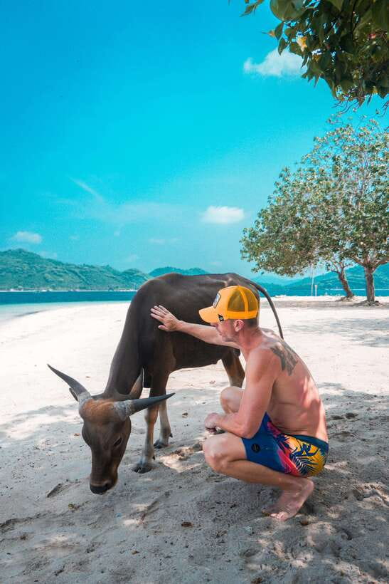 5 Secret Gili Boat Trip & Snorkeling in Southwest Of Lombok - Snorkeling reality checks: currents, jellyfish, and reef care