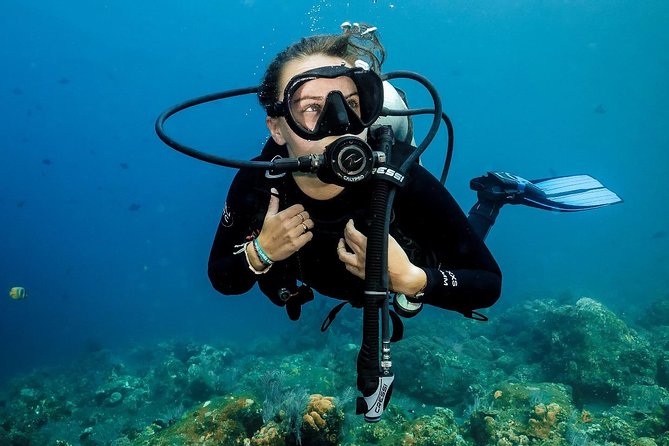 7 Fun Dives in Nusa Lembongan (for certified divers) - Premium Value Package - Your guides: the real difference-maker on multi-day programs