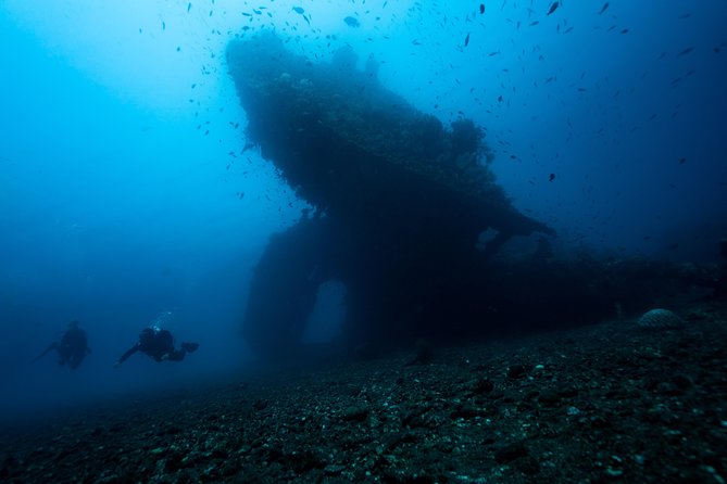 7 Fun Dives in Tulamben (for certified divers) - Premium Value Package - Why Tulamben is a standout base for certified scuba divers