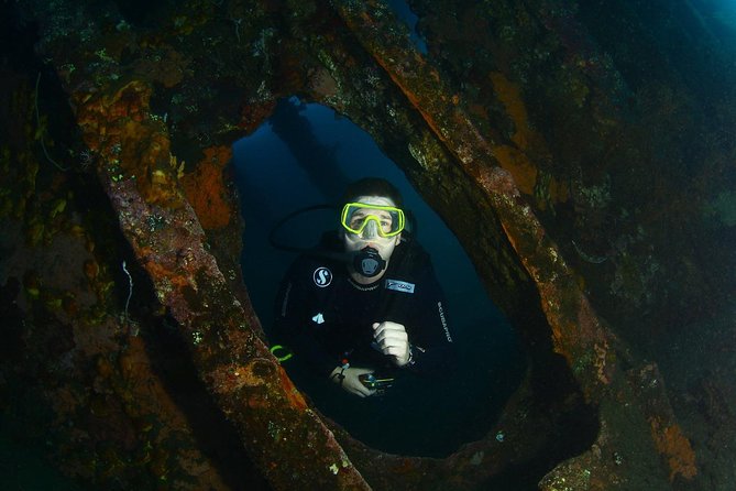 7 Fun Dives in Tulamben (for certified divers) - Premium Value Package - The real star: small-group guidance and memorable instructors