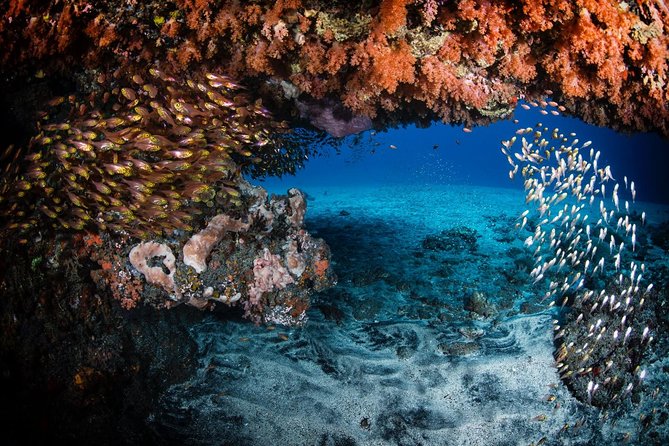 Advanced Open Water Course - Advanced Certification in Tulamben - Choosing Specialty Sessions: Finding Your Diving Style (Without Guessing Forever)