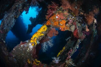 Advanced Open Water Course – Advanced Certification in Tulamben