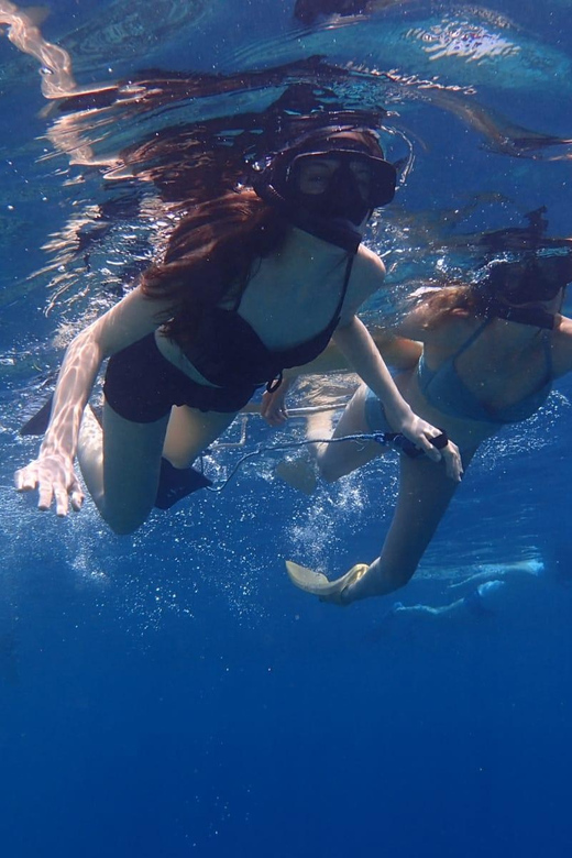 All Include Snorkeling at Menjangan Island - What the $64 includes, and why it is good value in Bali