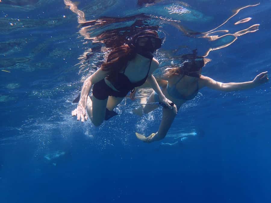 All Include Snorkeling at Menjangan Island - The 5-hour rhythm: hotel pickup, boat time, and two snorkel stops