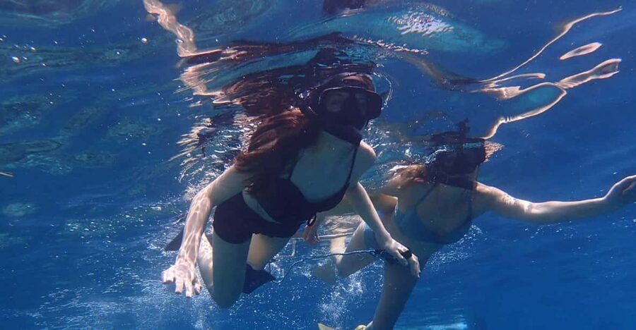 All Include Snorkeling Menjangan Island - Gear, boat, lunch box, and what is actually included