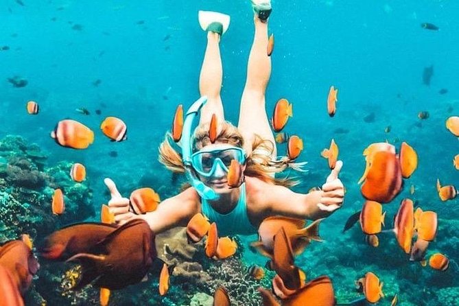 All Inclusive : Bali Blue Lagoon Snorkeling, Lunch, and Transport - Why Padangbai Blue Lagoon and Tanjung Jepun are a smart combo