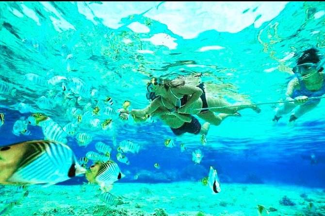 All Inclusive : Bali Blue Lagoon Snorkeling, Lunch, and Transport - What to bring (so small problems do not ruin the day)