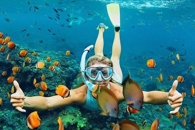 All Inclusive : Bali Blue Lagoon Snorkeling, Lunch, and Transport - From Ubud to Padangbai, and how the timing really feels