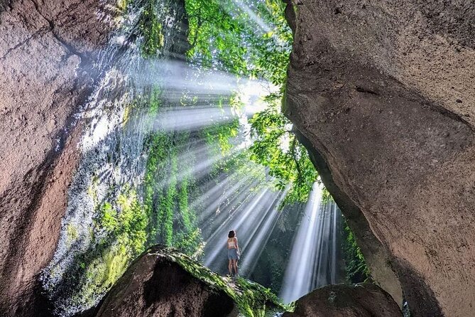 All-Inclusive Ubud Private Tour - Tegalalang Rice Terrace and the Subak Irrigation System