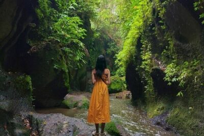 All-Inclusive Ubud Private Tour