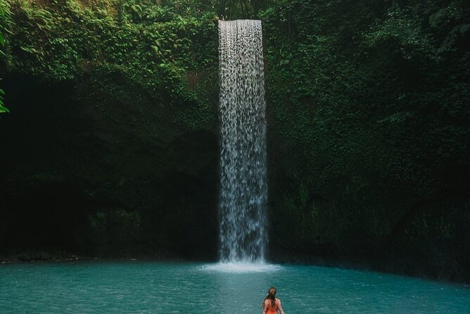 All-Inclusive Ubud Private Tour - D Alas Warung Lunch, Jungle Views, and the Ubud Swing Experience