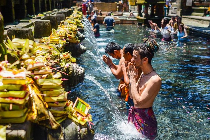 All-Inclusive Ubud Private Tour - Price and Logistics: Is $100 Per Person a Good Deal?