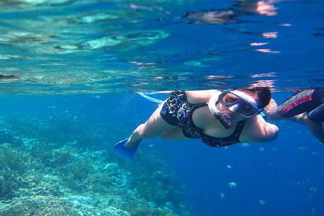 All Ticket Inclusive-Blue Lagoon Snorkeling-Ubud Monkey Forest & Ubud Waterfall - A Fast, Ticket-Inclusive Day Across Bali’s Water and Jungle