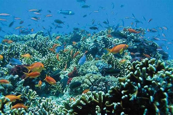 All Ticket Inclusive-Blue Lagoon Snorkeling-Ubud Monkey Forest & Ubud Waterfall - Lunch, Showers, and the Small Comforts That Matter