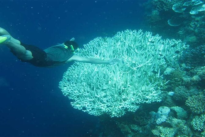 All Ticket Inclusive-Blue Lagoon Snorkeling-Ubud Monkey Forest & Ubud Waterfall - Blue Lagoon Beach Snorkeling: Two Stops, Equipment Included