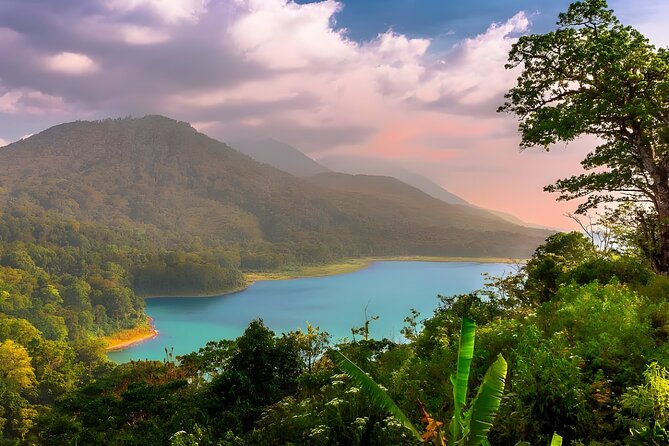 Amazing Bali Dolphin Watching Trip Experience - Bedugul’s Tamblingan Lake Stop: High Altitude, Farming Views