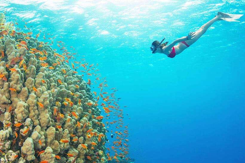 Amed: Snorkeling Tour with Japanese Shipwreck and Coral … - Amed Snorkeling, the Japanese Shipwreck, and Why the Water Here Feels Special