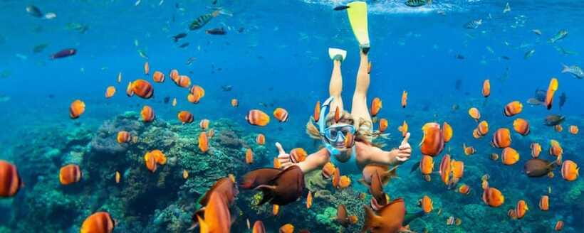 Amed: Snorkeling Tour with Japanese Shipwreck and Coral … - The Japanese Shipwreck: Coral-Covered Structure That Becomes Home