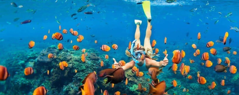Amed: Snorkeling Tour with Japanese Shipwreck and Coral … - Price and Duration: Getting Real Value at $40 for 2 Hours
