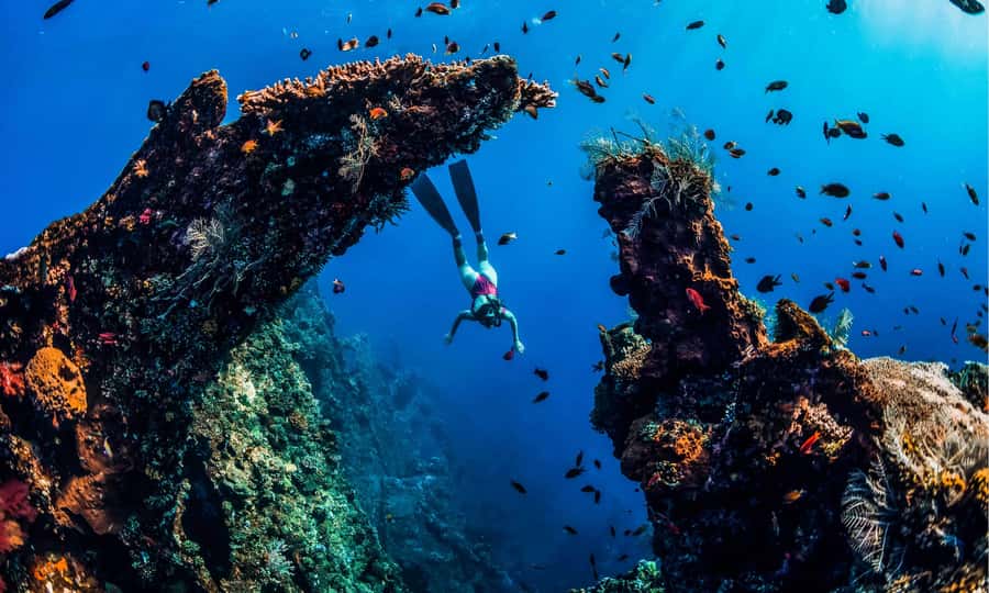 Amed: Snorkeling Trip to the Japanese Shipwreck - Why the Amed Japanese Shipwreck snorkel trip is such an easy win