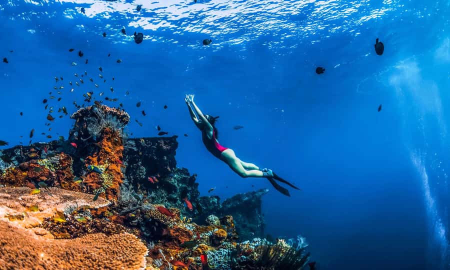 Amed: Snorkeling Trip to the Japanese Shipwreck - Stop-by-stop: what you’ll do and what makes each location worth it