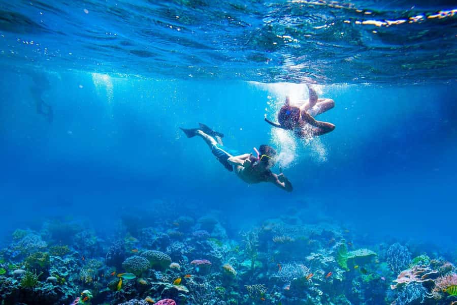 Amed: Tirta Gangga, Jemeluk Bay, & Virgin Beach Day Trip - Pickup Choices, Drive Time, and How to Not Lose Your Day